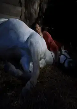 Неуловимый Люк (2009) смотреть онлайн Неуловимый Люк (2009) фильм смотреть онлайн