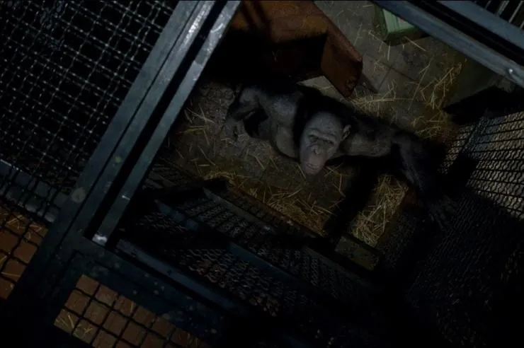 Восстание планеты обезьян (2011) смотреть онлайн Восстание планеты обезьян (2011) фильм смотреть онлайн