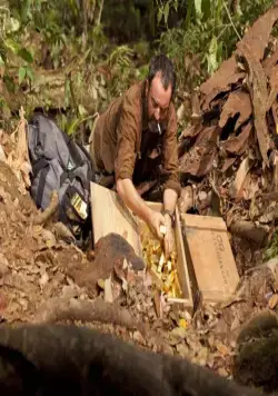 600 кг золота (2010) смотреть онлайн 600 кг золота (2010) фильм смотреть онлайн