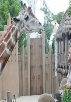 Мой парень из зоопарка (2011) в хорошем качестве смотреть онлайн Мой парень из зоопарка (2011) фильм в хорошем качестве смотреть онлайн