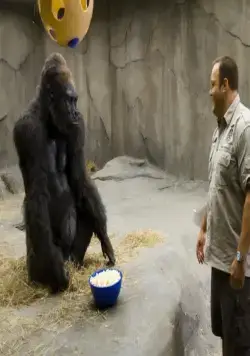 Мой парень из зоопарка (2011) смотреть онлайн бесплатно Мой парень из зоопарка (2011) фильм смотреть онлайн бесплатно