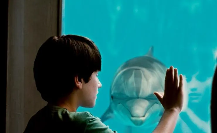 История дельфина (2011) смотреть онлайн История дельфина (2011) фильм смотреть онлайн