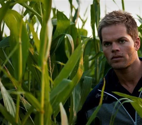 Шелуха (2010) в хорошем качестве смотреть онлайн Шелуха (2010) фильм в хорошем качестве смотреть онлайн