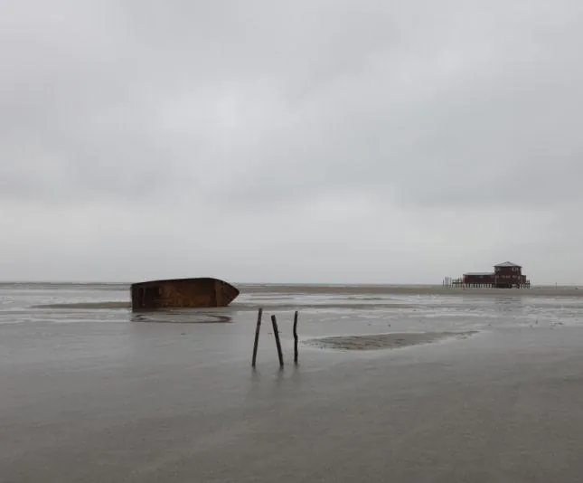 Чрево (2010) смотреть онлайн Чрево (2010) фильм смотреть онлайн