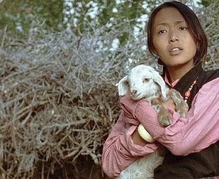 Учение Миларепы (2005) смотреть онлайн бесплатно Учение Миларепы (2005) фильм смотреть онлайн бесплатно