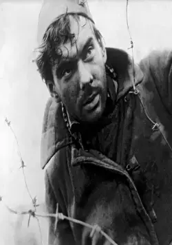 Летят журавли (1957) смотреть онлайн Летят журавли (1957) фильм смотреть онлайн