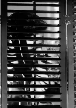 Психо (1960) в хорошем качестве смотреть онлайн Психо (1960) фильм в хорошем качестве смотреть онлайн