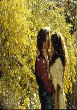 Танцующий с волками (1990) в хорошем качестве смотреть онлайн Танцующий с волками (1990) фильм в хорошем качестве смотреть онлайн