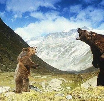 Медведь (1988) смотреть онлайн Медведь (1988) фильм смотреть онлайн