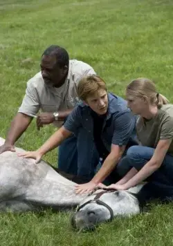 Безответная любовь (2010) в хорошем качестве смотреть онлайн Безответная любовь (2010) фильм в хорошем качестве смотреть онлайн