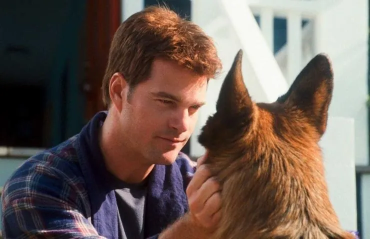 Кошки против собак: Месть Китти Галор (2010) в хорошем качестве смотреть онлайн Кошки против собак: Месть Китти Галор (2010) фильм в хорошем качестве смотреть онлайн