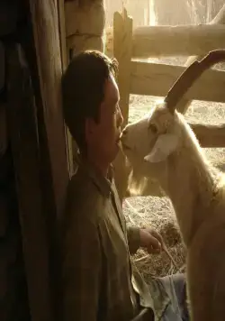 Тюльпан (2008) смотреть онлайн Тюльпан (2008) фильм смотреть онлайн