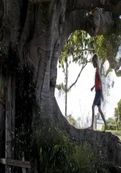 Дерево (2010) смотреть онлайн Дерево (2010) фильм смотреть онлайн