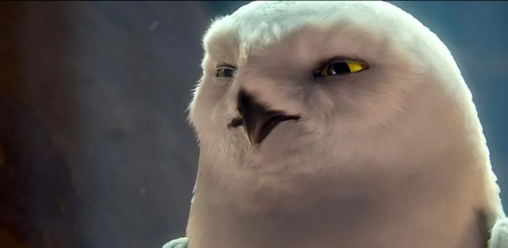 Легенды ночных стражей (2010) смотреть онлайн бесплатно Легенды ночных стражей (2010) мультфильм смотреть онлайн бесплатно