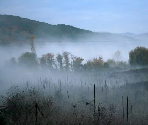 Туман (2010) в хорошем качестве смотреть онлайн Туман (2010) фильм в хорошем качестве смотреть онлайн