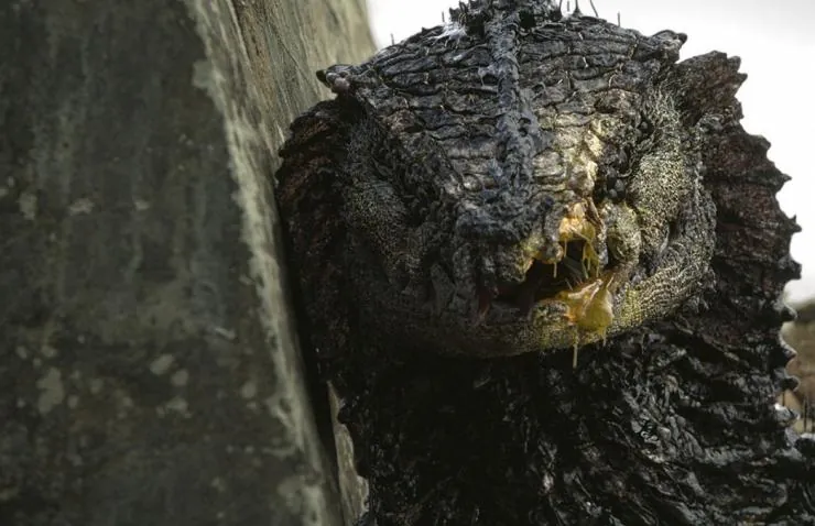 Ракка (2017) смотреть онлайн Ракка (2017) фильм смотреть онлайн