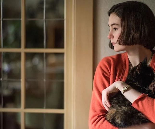 Дневник Анны Франк (2015) смотреть онлайн Дневник Анны Франк (2015) фильм смотреть онлайн