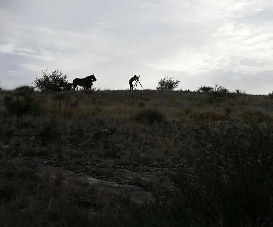 Нефть (2007) смотреть онлайн Нефть (2007) фильм смотреть онлайн