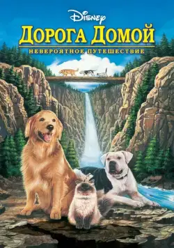 Дорога домой: Невероятное путешествие / Homeward Bound: The Incredible Journey (1993) фильм смотреть онлайн Дорога домой: Невероятное путешествие / Homeward Bound: The Incredible Journey (1993) фильм смотреть онлайн в хорошем качестве