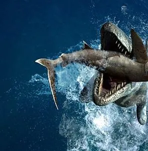 Чудища морей 3D: Доисторическое приключение (2007) смотреть онлайн Чудища морей 3D: Доисторическое приключение (2007) мультфильм смотреть онлайн