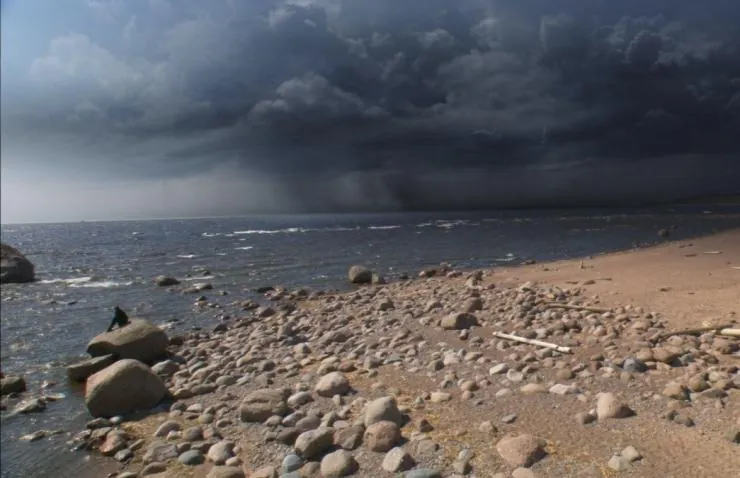 Тайны смерти (2009) смотреть онлайн Тайны смерти (2009) фильм смотреть онлайн