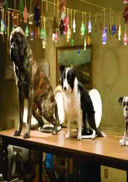 Отель для собак (2008) смотреть онлайн Отель для собак (2008) фильм смотреть онлайн