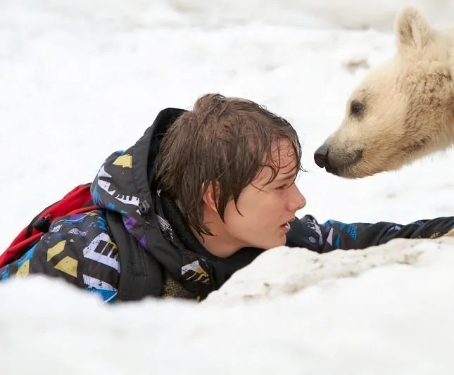 Полуночное солнце (2014) смотреть онлайн Полуночное солнце (2014) фильм смотреть онлайн