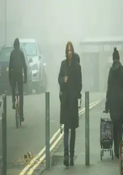 Уличный кот по кличке Боб (2016) смотреть онлайн бесплатно Уличный кот по кличке Боб (2016) фильм смотреть онлайн бесплатно