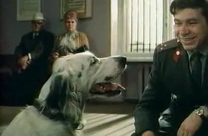 Белый Бим Черное ухо (1976) в хорошем качестве смотреть онлайн Белый Бим Черное ухо (1976) фильм в хорошем качестве смотреть онлайн