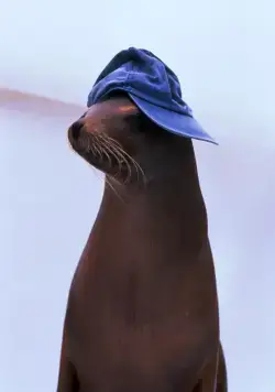 Хлопушка и Вонючки (1998) в хорошем качестве смотреть онлайн Хлопушка и Вонючки (1998) фильм в хорошем качестве смотреть онлайн