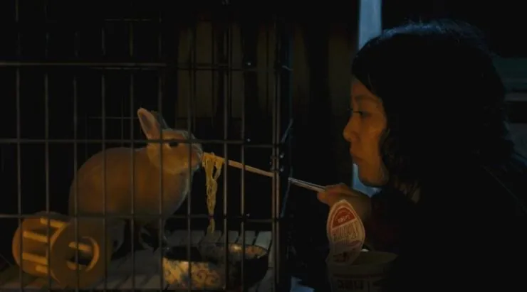 Кумико – охотница за сокровищами (2014) в хорошем качестве смотреть онлайн Кумико – охотница за сокровищами (2014) фильм в хорошем качестве смотреть онлайн