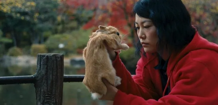 Кумико – охотница за сокровищами (2014) смотреть онлайн Кумико – охотница за сокровищами (2014) фильм смотреть онлайн