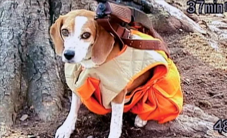 Боулинг для Колумбины (2002) смотреть онлайн бесплатно Боулинг для Колумбины (2002) фильм смотреть онлайн бесплатно