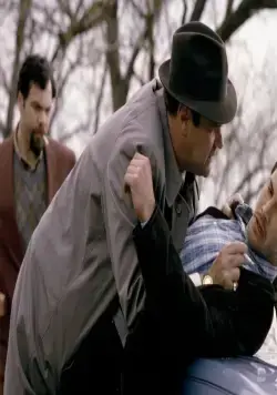 Чувствуя Миннесоту (1996) смотреть онлайн Чувствуя Миннесоту (1996) фильм смотреть онлайн