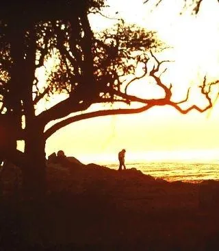 Сыграй мне перед смертью (1971) смотреть онлайн бесплатно Сыграй мне перед смертью (1971) фильм смотреть онлайн бесплатно