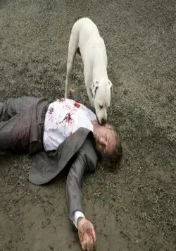 Однажды в Голливуде (2008) смотреть онлайн Однажды в Голливуде (2008) фильм смотреть онлайн