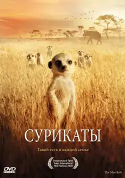 Сурикаты / The Meerkats (2007) фильм смотреть онлайн Сурикаты / The Meerkats (2007) фильм смотреть онлайн в хорошем качестве