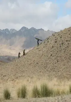 Баксы (2008) смотреть онлайн Баксы (2008) фильм смотреть онлайн