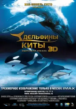 Дельфины и киты 3D / Dolphins and Whales 3D: Tribes of the Ocean (2008) фильм смотреть онлайн Дельфины и киты 3D / Dolphins and Whales 3D: Tribes of the Ocean (2008) фильм смотреть онлайн в хорошем качестве