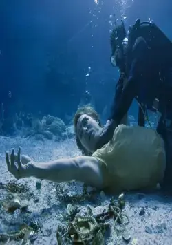 Золото дураков (2008) смотреть онлайн Золото дураков (2008) фильм смотреть онлайн