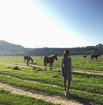 Злая шутка (2016) смотреть онлайн бесплатно Злая шутка (2016) фильм смотреть онлайн бесплатно