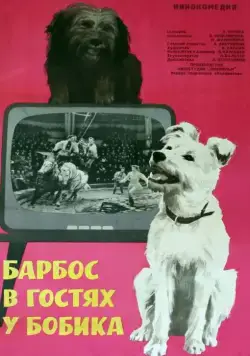 Барбос в гостях у Бобика (1964) фильм смотреть онлайн Барбос в гостях у Бобика (1964) фильм смотреть онлайн в хорошем качестве