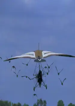 Летите домой (1996) смотреть онлайн Летите домой (1996) фильм смотреть онлайн