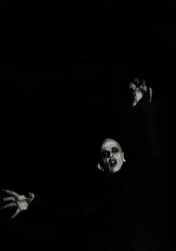 Носферату: Призрак ночи (1978) смотреть онлайн Носферату: Призрак ночи (1978) фильм смотреть онлайн