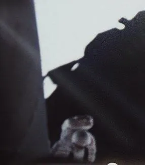 В тени Луны (2007) смотреть онлайн В тени Луны (2007) фильм смотреть онлайн