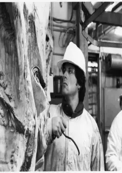 Рокки 2 (1979) смотреть онлайн бесплатно Рокки 2 (1979) фильм смотреть онлайн бесплатно