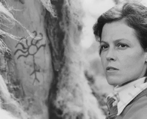 Гориллы в тумане (1988) смотреть онлайн Гориллы в тумане (1988) фильм смотреть онлайн