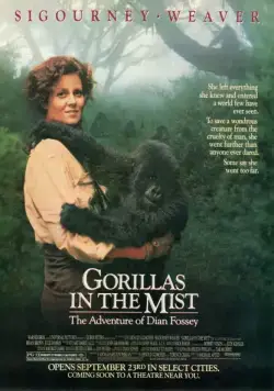 Гориллы в тумане / Gorillas in the Mist: The Story of Dian Fossey (1988) фильм смотреть онлайн Гориллы в тумане / Gorillas in the Mist: The Story of Dian Fossey (1988) фильм смотреть онлайн в хорошем качестве