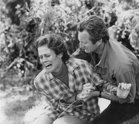 Гориллы в тумане (1988) смотреть онлайн бесплатно Гориллы в тумане (1988) фильм смотреть онлайн бесплатно