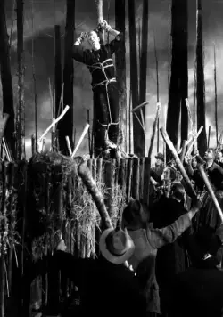 Невеста Франкенштейна (1935) смотреть онлайн бесплатно Невеста Франкенштейна (1935) фильм смотреть онлайн бесплатно